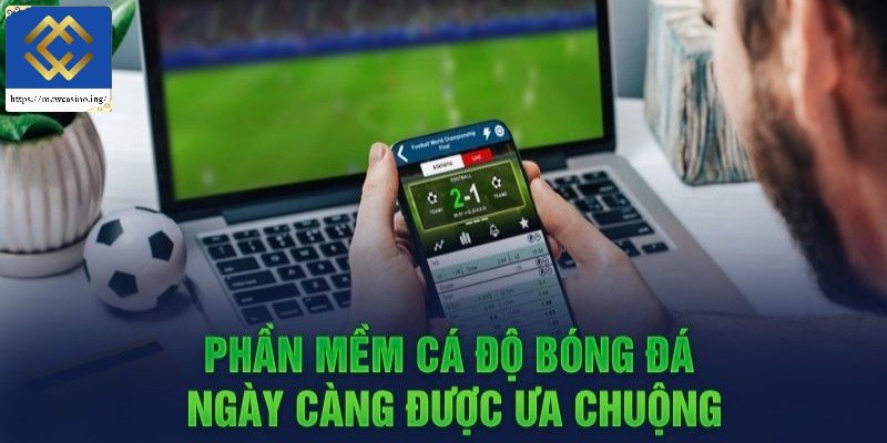 Phần mềm cá độ ngày càng được yêu thích