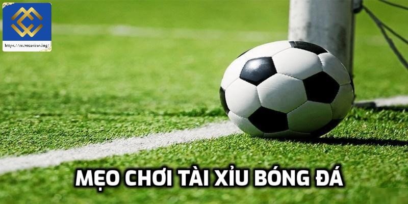 Mẹo chơi tài xỉu bóng đá hiệu quả